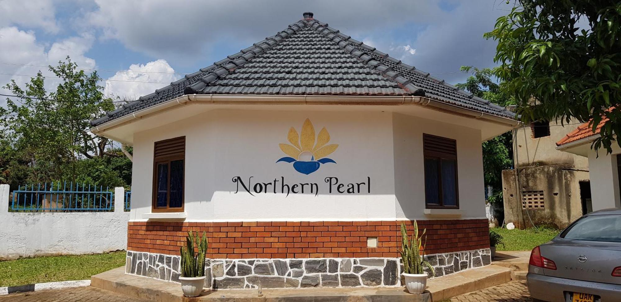 Northern Pearl غولو المظهر الخارجي الصورة